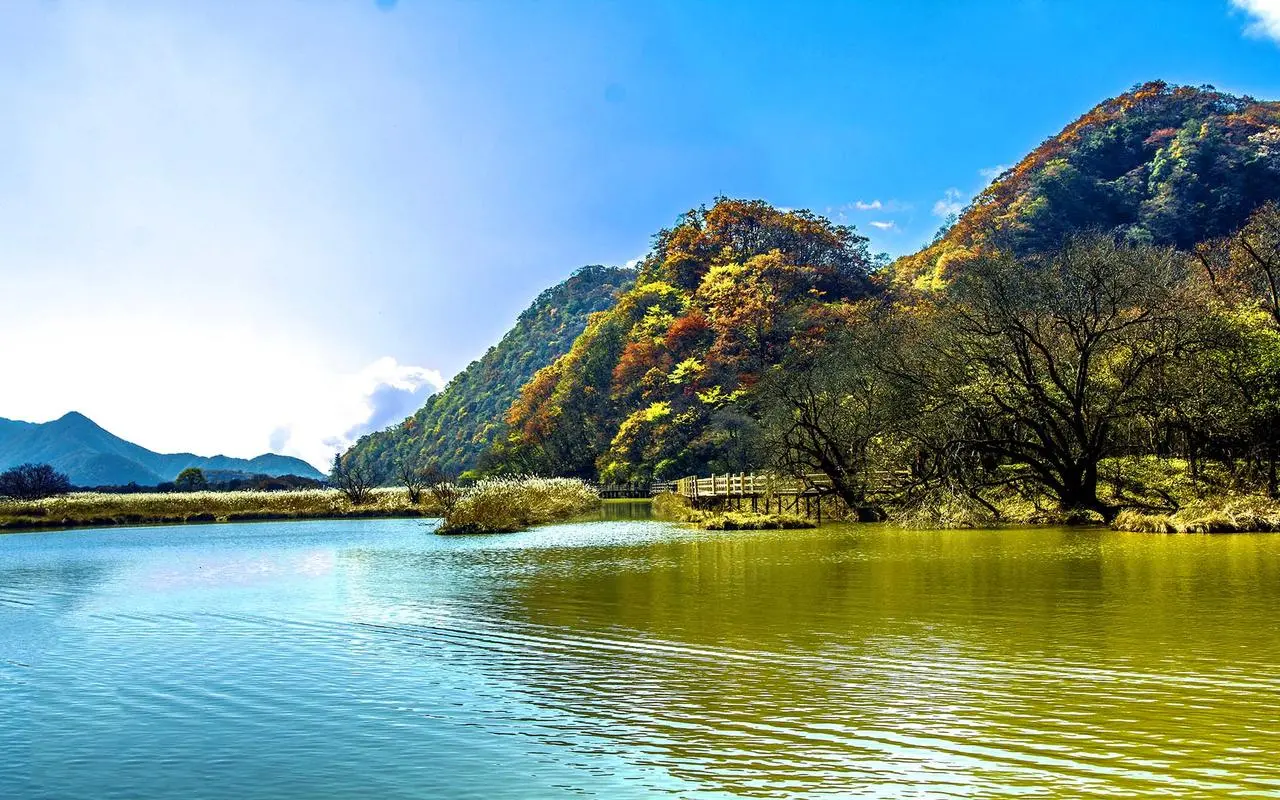 节能高端高标准